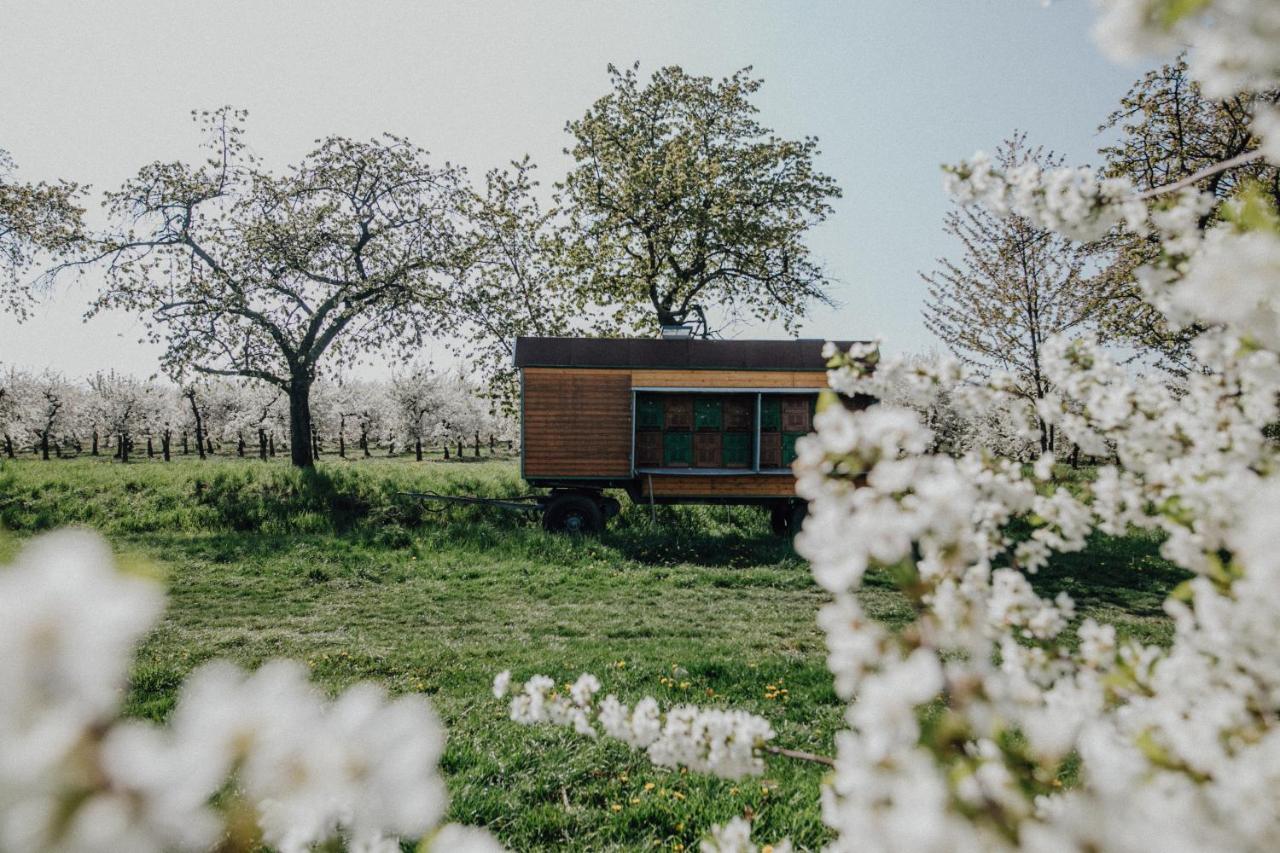 Landhotel Rosenschaenke Kreischa Exteriér fotografie