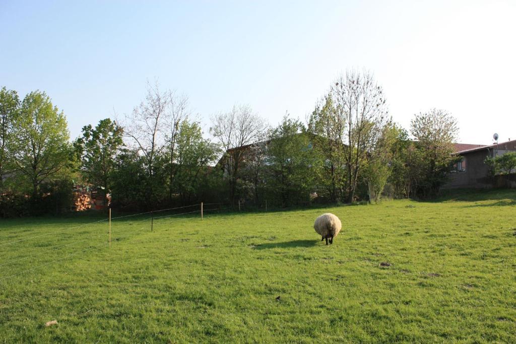 Landhotel Rosenschaenke Kreischa Exteriér fotografie