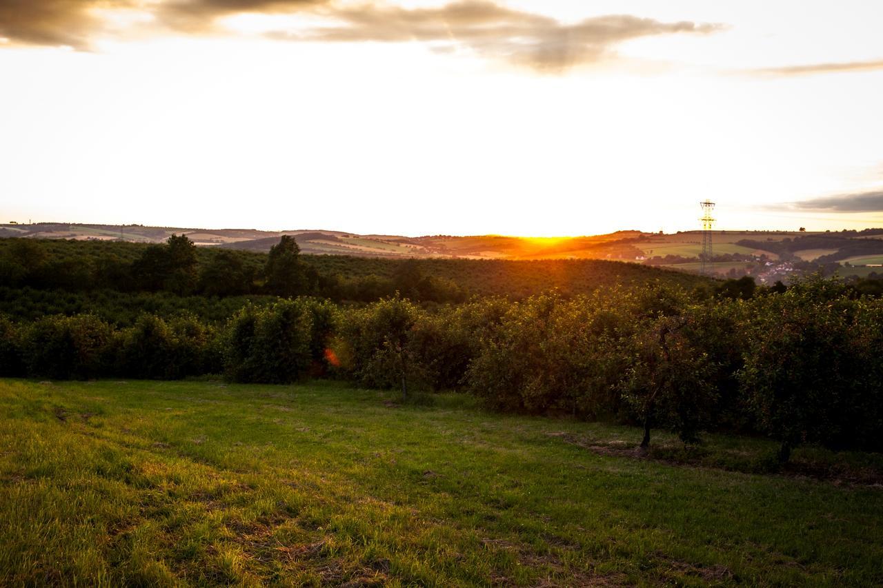 Landhotel Rosenschaenke Kreischa Exteriér fotografie